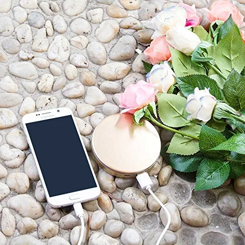 A LIGHTED HANDHELD MIRROR THAT CAN CHARGE YOUR PHONE