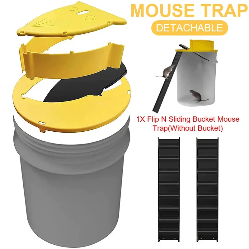 Automatic Mouse Trap