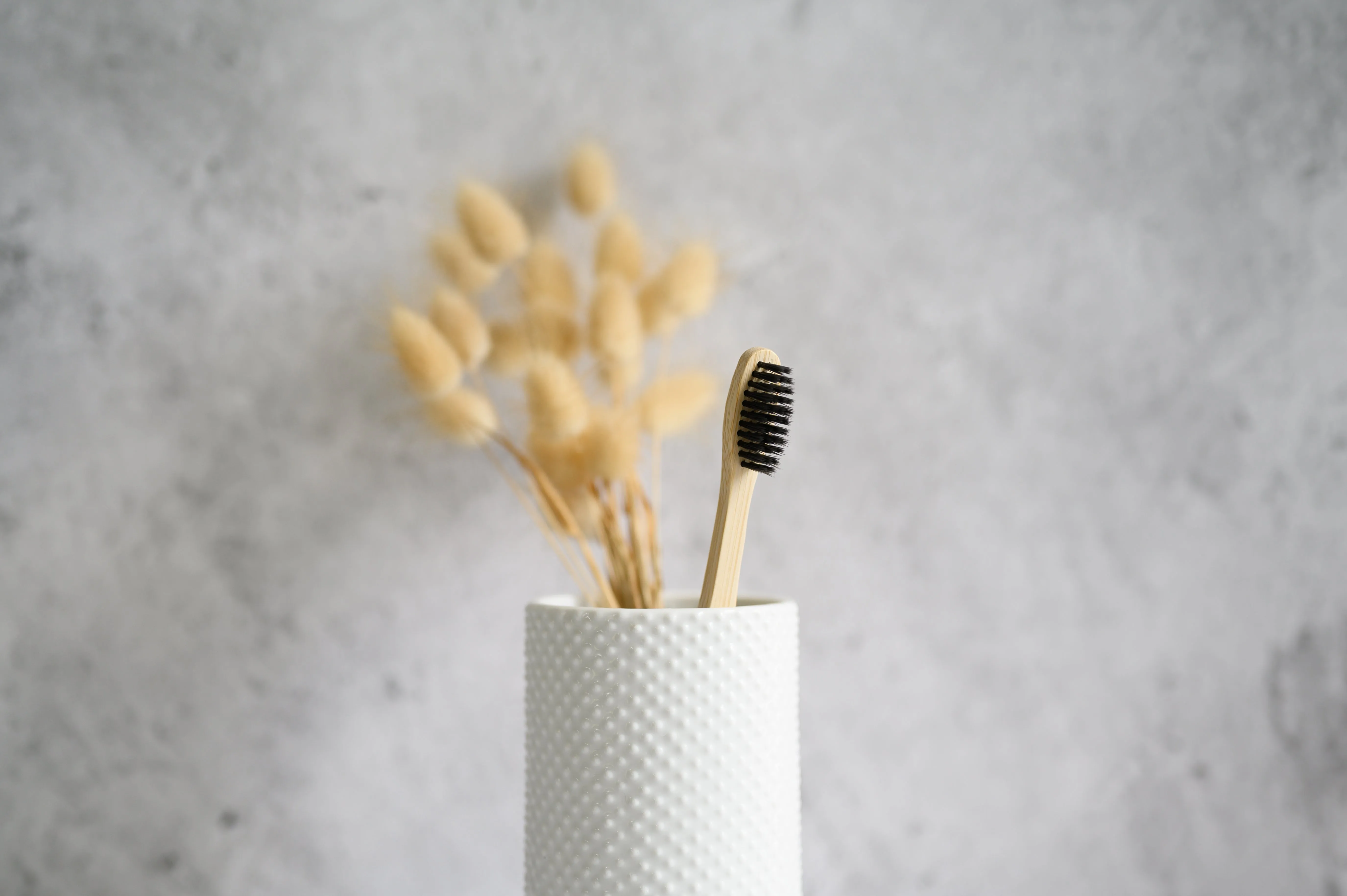 Bamboo Toothbrush