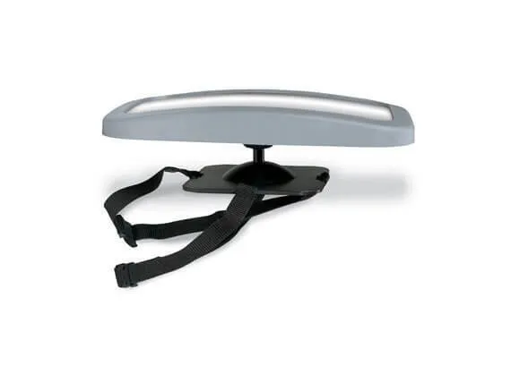 Britax Back Seat Mirror