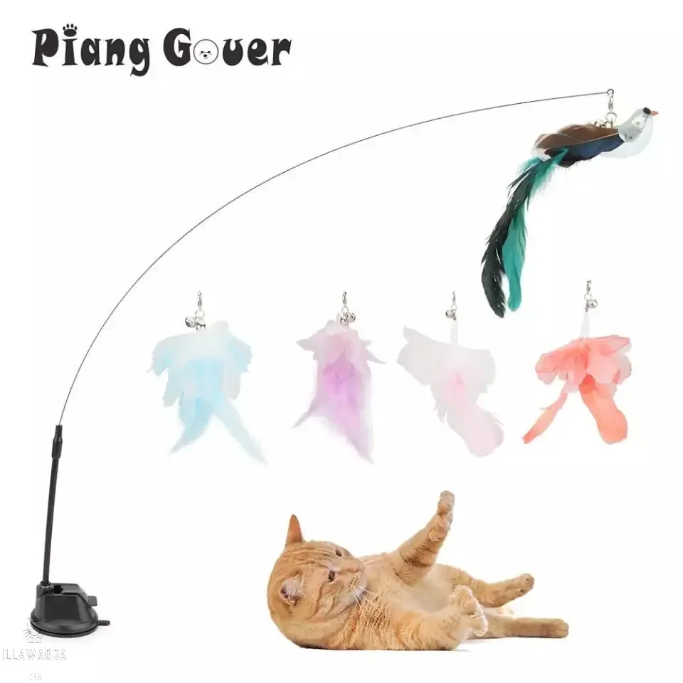 Cat Bird Toy - Bouncy Fun