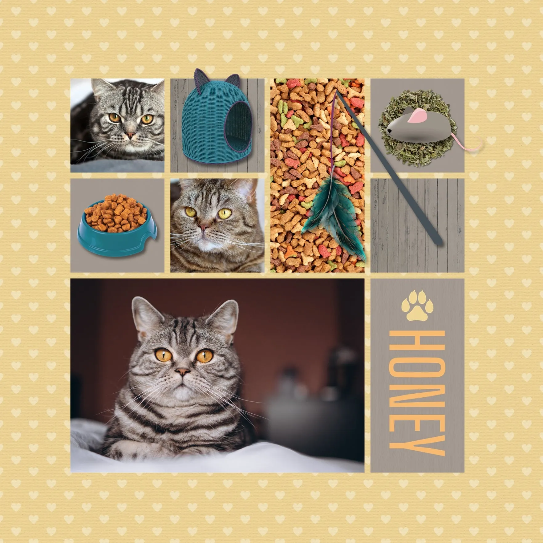 Cats Digital Scrapbook Bundle