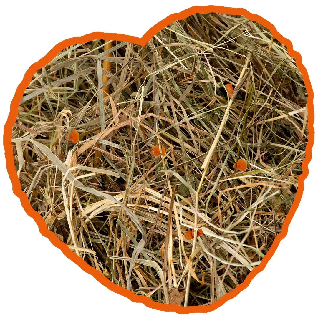 HERBAL HAY 1KG