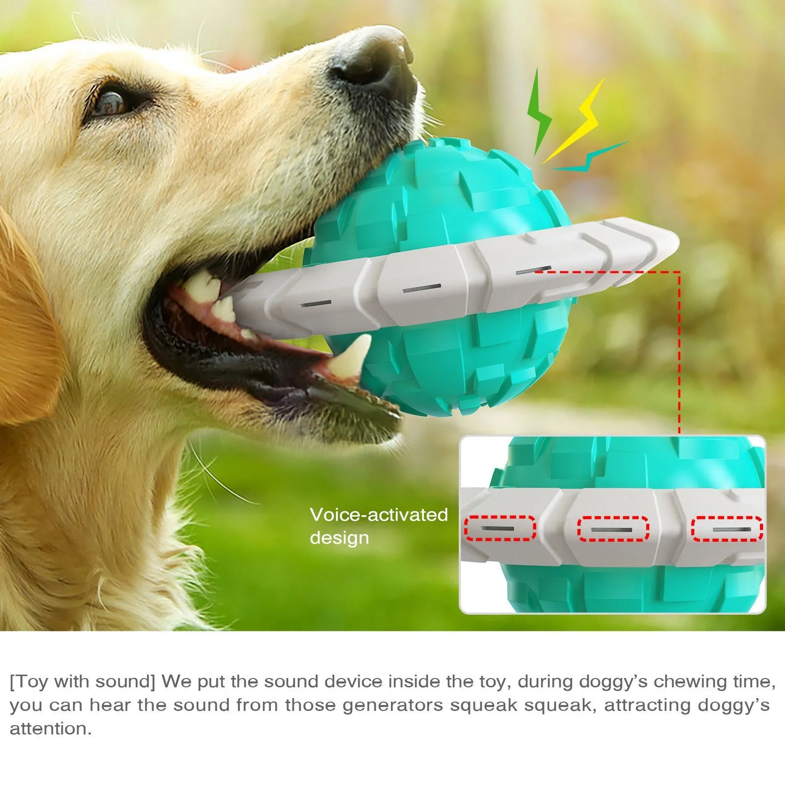 Interactive Flying Saucer Dog Toothbrush Toy