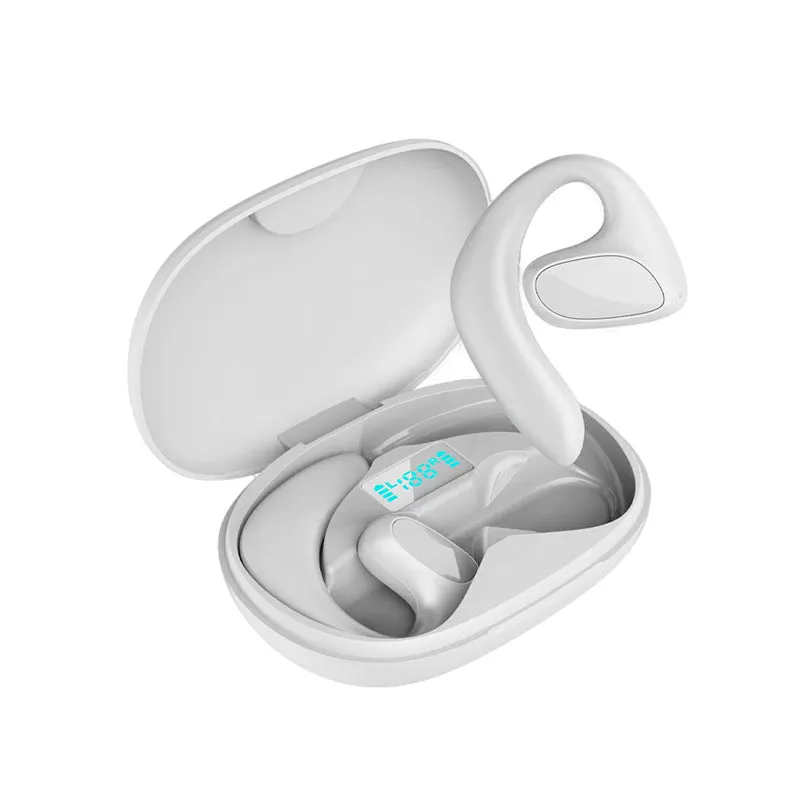 Language Translator Earbuds