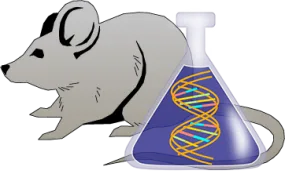 Mouse Factor IX Genetically Deficient Heart