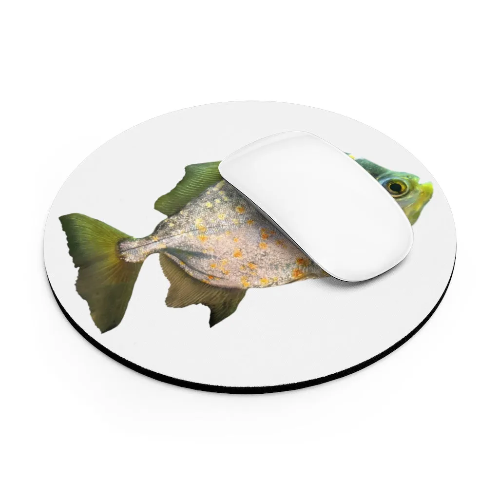 Silver Fish with Specs Mouse Pad