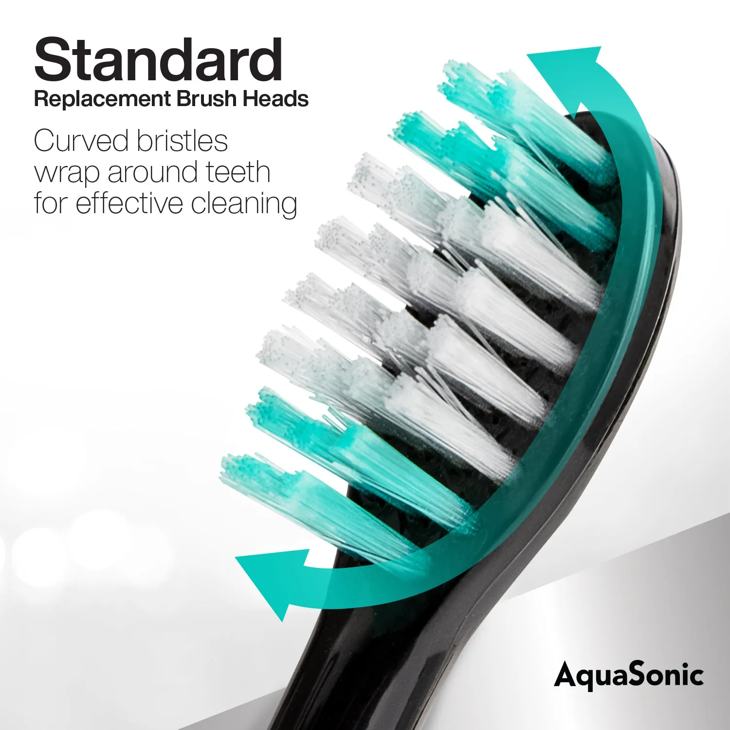 Standard Replacement Brush Heads